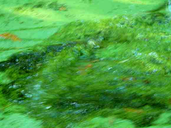 20031005-142134.jpg - Swirl