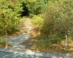 Abandoned drive