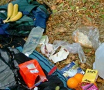 Still Life With Food
