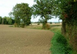 Ditch