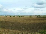Big sky