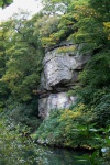 The Fort