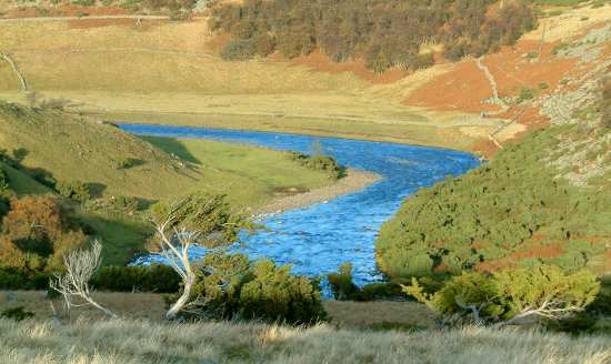 20031026-153230.jpg - The River Tees
