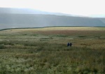 Descending Fendrith Hill