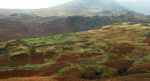 Hardknott Fort