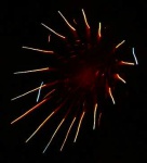 Firework