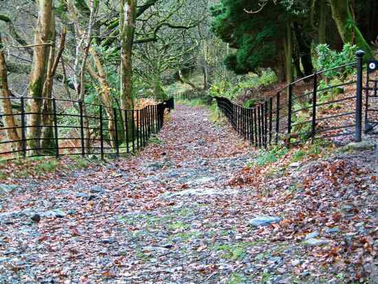 20031116-101202.jpg - Watkin Path in the woods