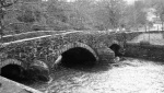 Bridge (black and white)
