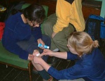 Clare plays nurse to Julia