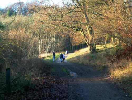 20031214-140428.jpg - A patch of sunshine