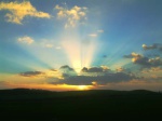Low sunlight