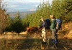 Barcaldine forest