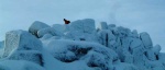 Looking back at the summit