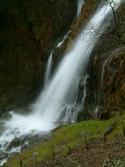 20040105-142724.jpg - Taylorgill Force