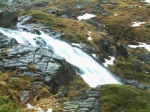 Grains Gill