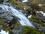 Grains Gill