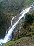 Taylorgill Force