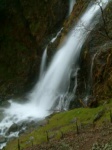 Taylorgill Force