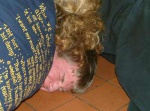 Twister