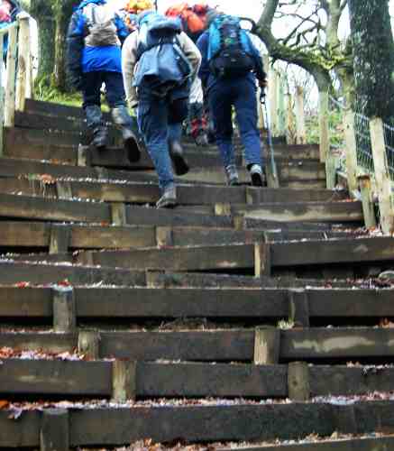 20040125-143830.jpg - Dodgy-looking steps