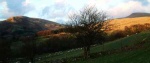 Late sunlight