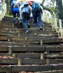 Dodgy-looking steps