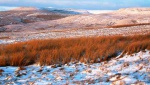 Evening light on Wild Boar Fell