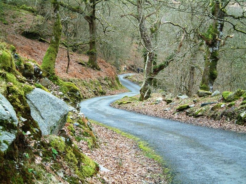 20040325-144836.jpg - Through the woods