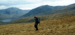 Robin on the way down