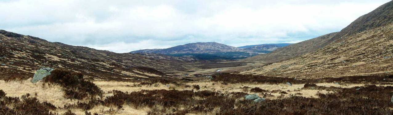 20040411-171918.jpg - Elgin Lane