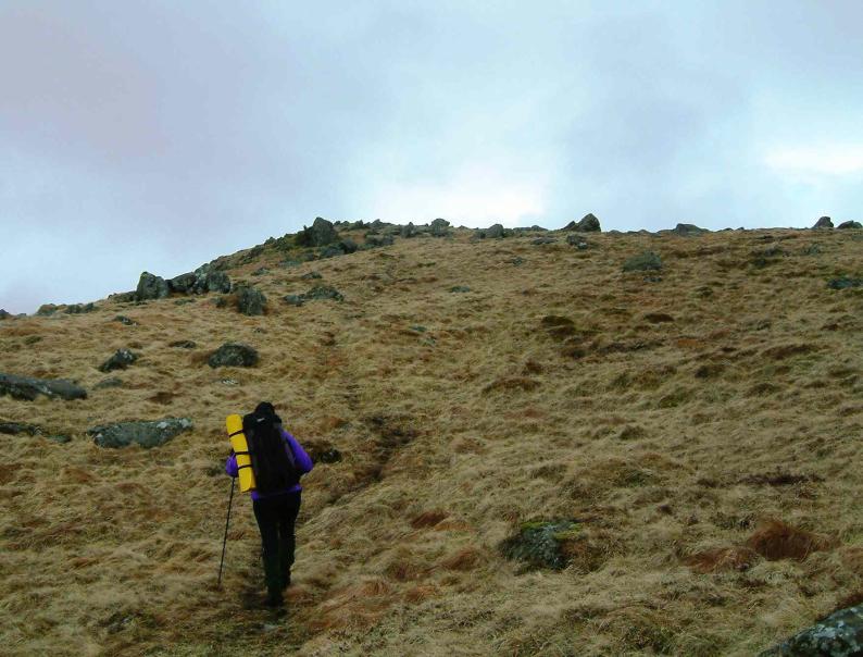 20040412-123846.jpg - Ascending Tarfessock