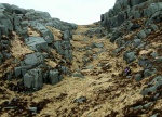 Near the summit of Craignaw