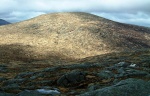 Mullwharchar