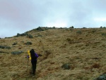 Ascending Tarfessock