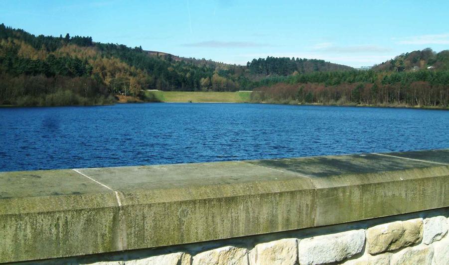 20040409-113450.jpg - Rivelin Reservoir