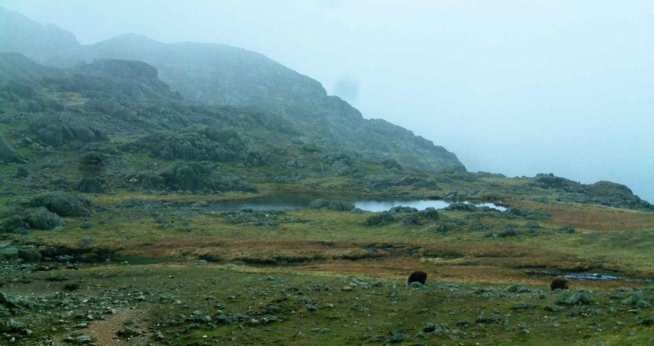20040508-174206.jpg - Three Tarns, near Bow Fell