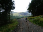 Heading out through the woods