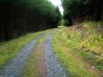 In the woods