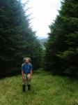 Toby at the top of the woods