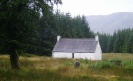 Backhill of Bush