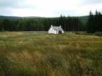 Backhill of Bush