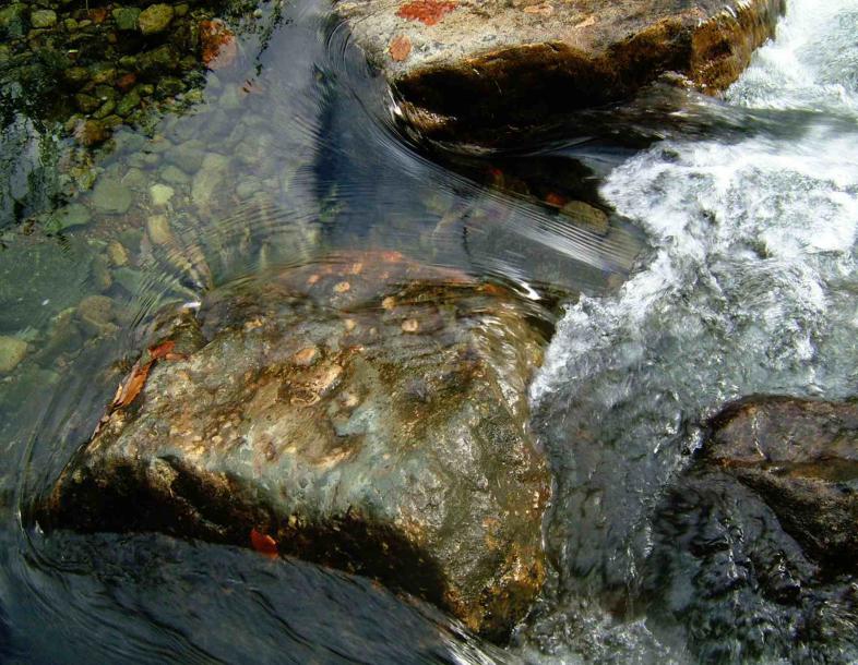 20041030-132548.jpg - Stepping stones