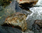 Stepping stones