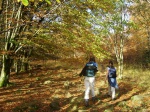 Simon and Dani in the beechwoods