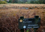 A choice of routes