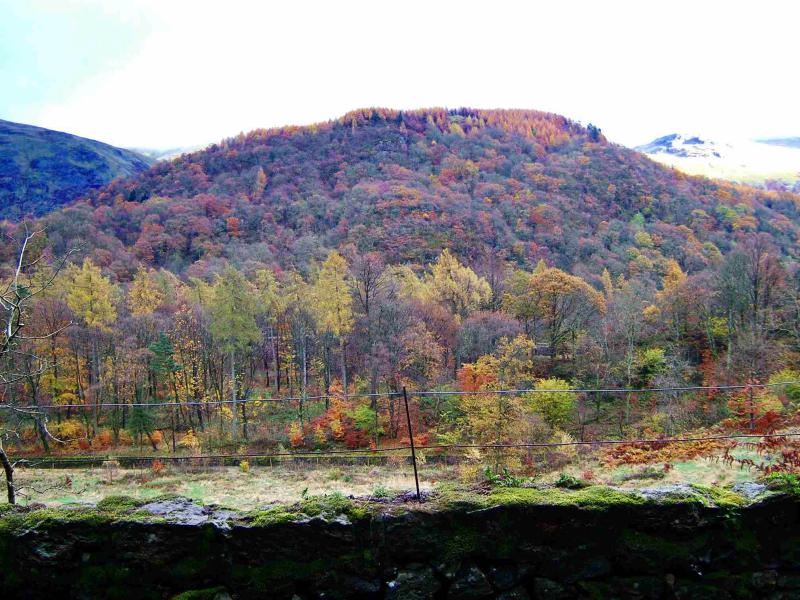20041107-143622.jpg - Autumn colours near Thirlmere