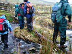 Crossing Dash Beck