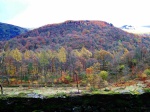 Autumn colours near Thirlmere