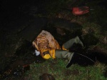 Some caving at last - Martin enters "Drain Cave" by the farm