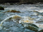 River Ure in spate near Grewelthorpe